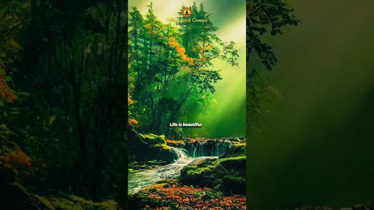 Life is beautiful 🌱 #shorts #relaxing #relaxingmusic