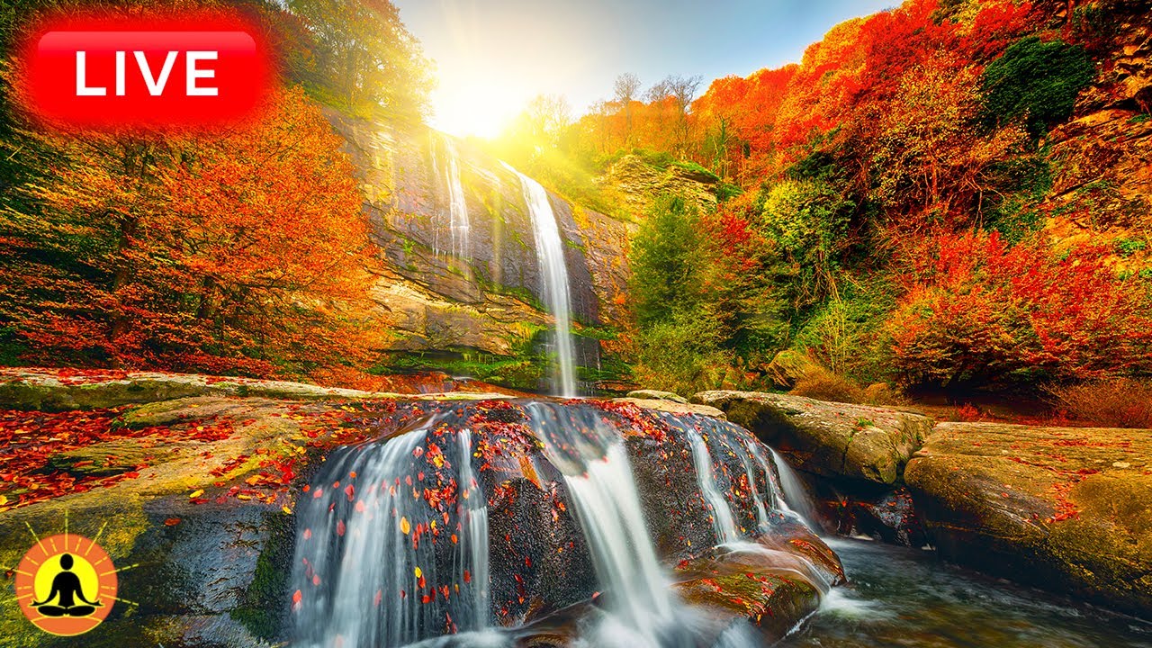 🔴 Relaxing Music 24/7, Stress Relief Music, Sleep Music, Meditation Music, Study, Waterfall Sounds