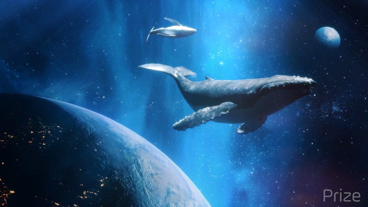 Sleep Music - Sleeping Music For Deep Sleeping - Music That Makes You Fall Asleep