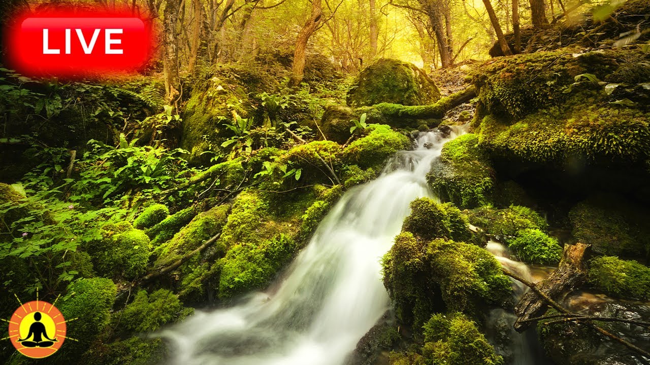 🔴 Relaxation Music 24/7, Stress Relief Music, Sleep Music, Meditation Music, Study, Flowing Stream