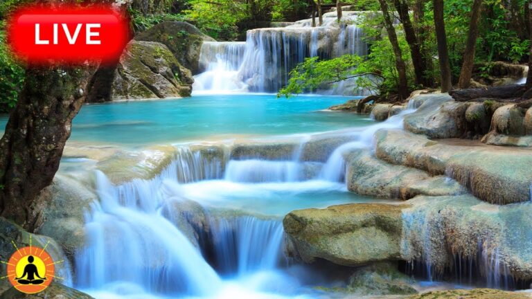 🔴 Relaxing Zen Music 24/7, Healing Music, Meditation Music, Spa Music, Sleep, Zen, Flowing Stream