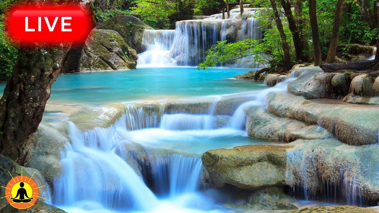 🔴 Relaxing Zen Music 24/7, Healing Music, Meditation Music, Spa Music, Sleep, Zen, Flowing Stream