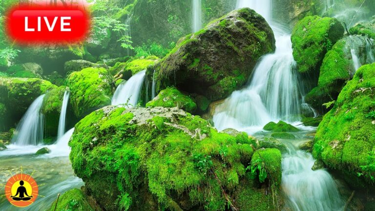 🔴 Relaxing Zen Music 24/7, Healing Music, Meditation Music, Spa Music, Sleep, Zen, Flowing Stream