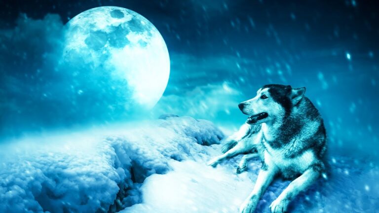 🔴 Snowstorm Sounds 24/7, Relaxing Winter, Music For Sleep, Insomnia, Calming, Relax, Arctic Wind