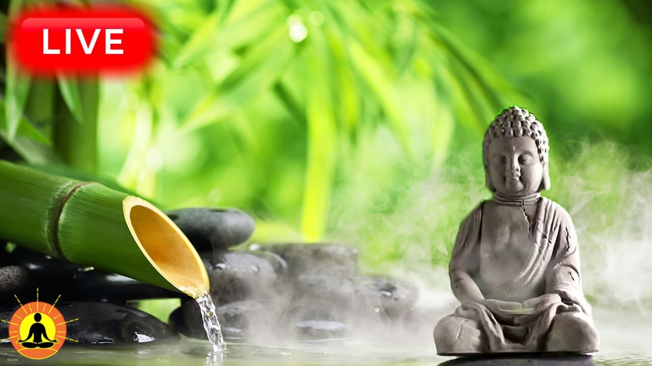 🔴 Relaxing Music 24/7, Healing Music, Meditation Music, Spa Music, Sleep, Zen, Study Music, River