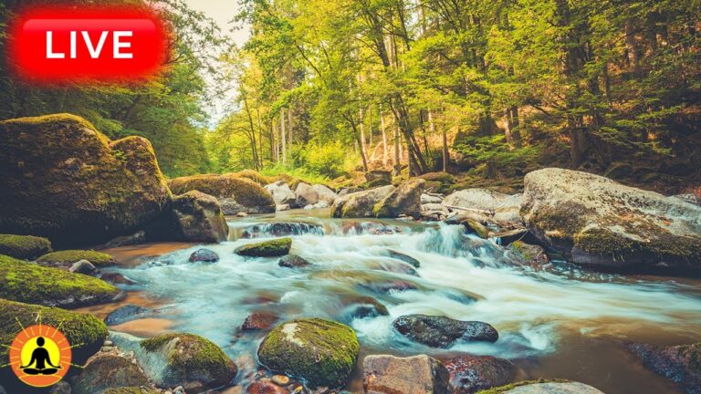 🔴 Relaxing Zen Music 24/7, Healing Music, Meditation Music, Stress Relief Music, Sleep Music, River