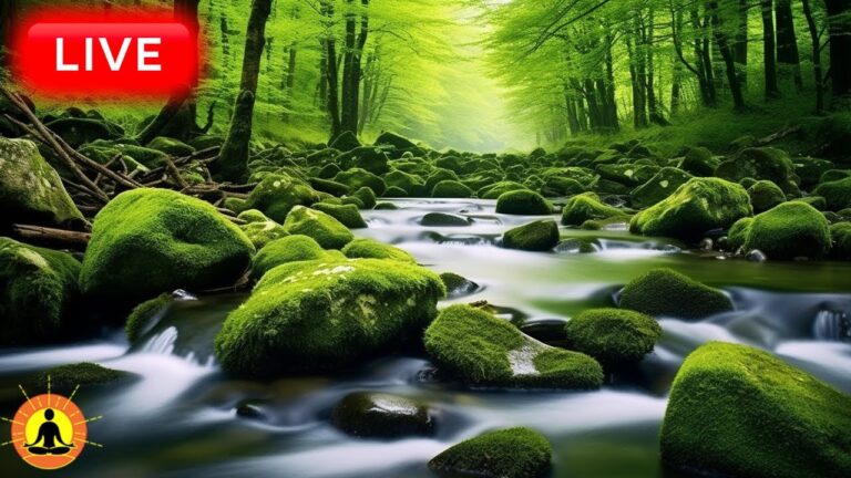 🔴 Relaxing Zen Music 24/7, Stress Relief Music, Sleep Music, Meditation Music, Study, Flowing River