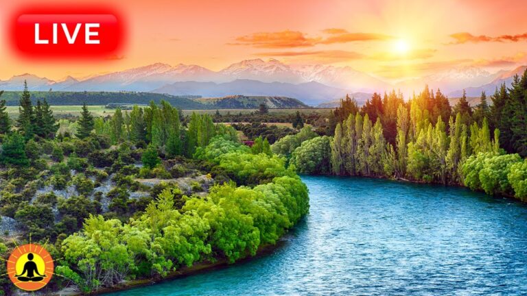 🔴 Relaxing Meditation Music 24/7, Relaxing Music, Calming Music, Study Music, Sleep Meditation