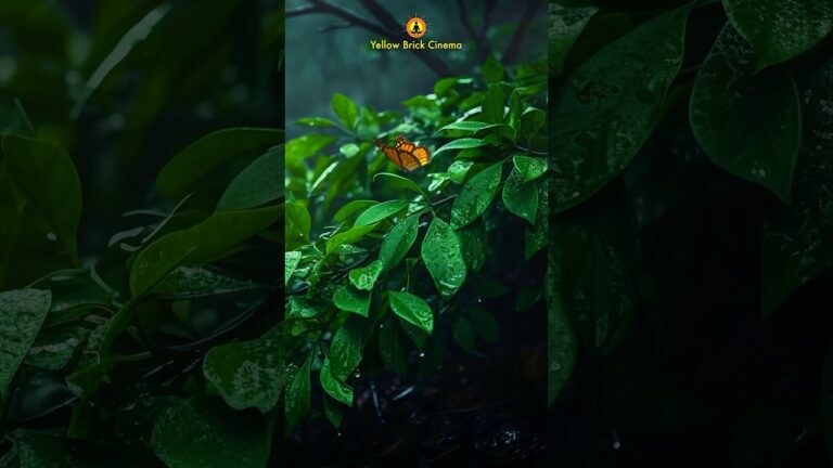 The beauty of the natural world lies in the details 🍃 #shorts #nature #naturesounds #relaxingmusic